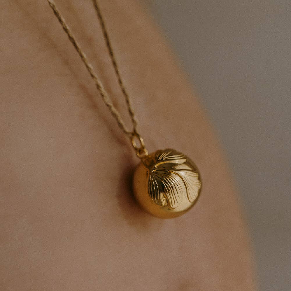 Pregnancy bola - Ginko
