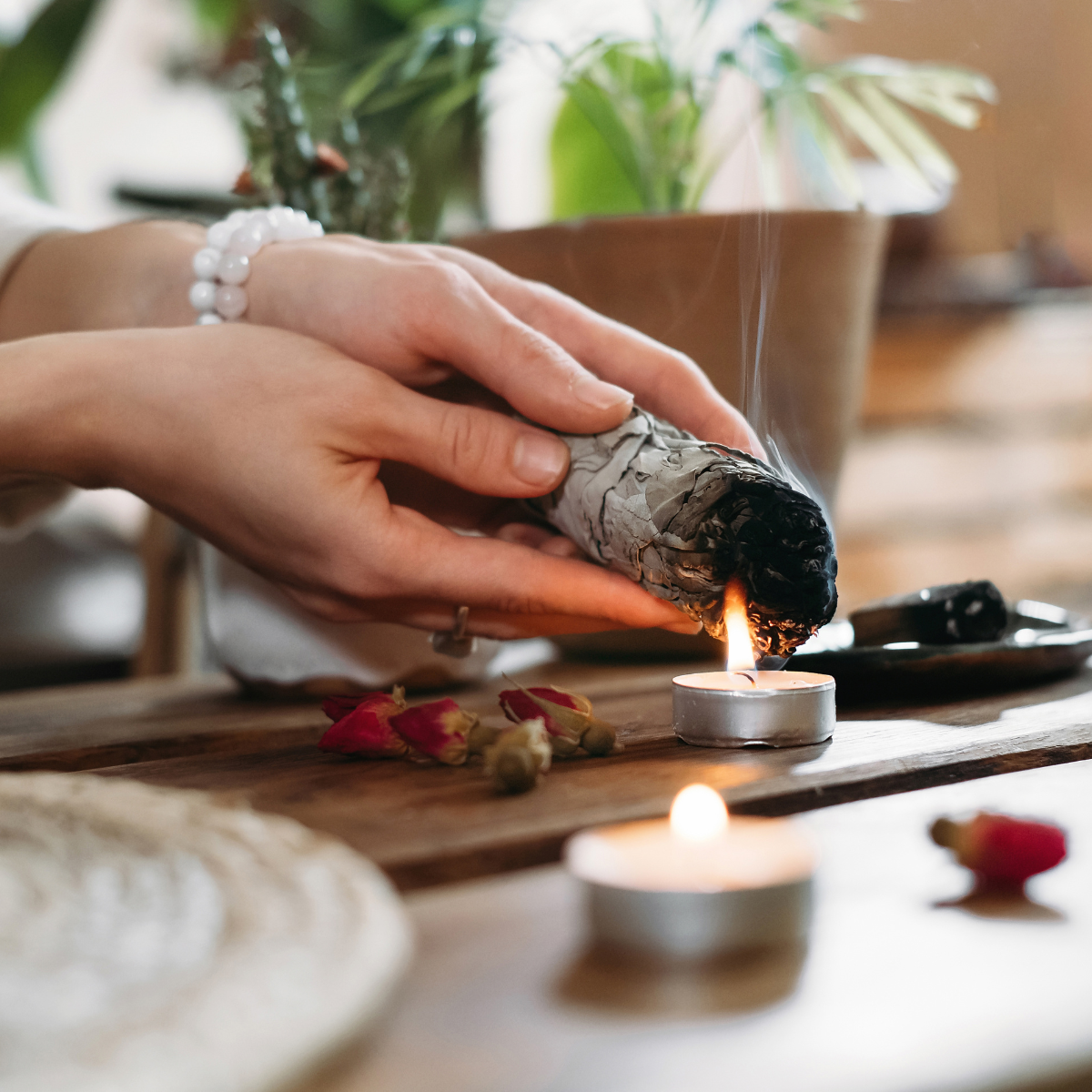 White sage ritual - incense bundle